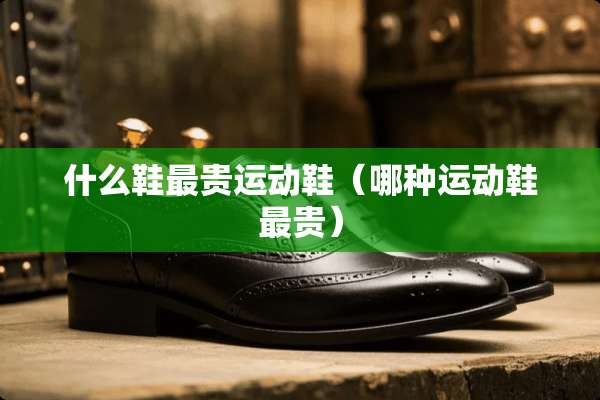 什么鞋最贵运动鞋（哪种运动鞋最贵）