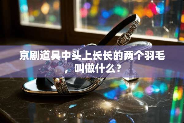 京剧道具中头上长长的两个羽毛，叫做什么？