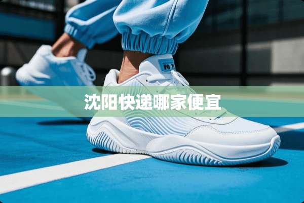 沈阳快递哪家便宜