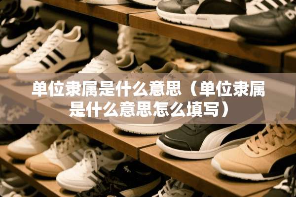 单位隶属是什么意思（单位隶属是什么意思怎么填写）