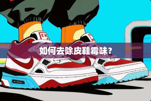 如何去除皮鞋霉味？
