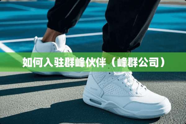 如何入驻群峰伙伴（峰群公司）