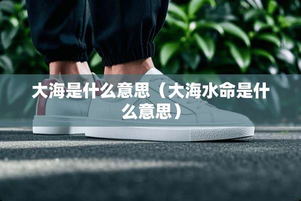 大海是什么意思（大海水命是什么意思）