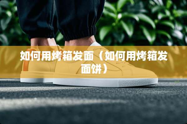 如何用烤箱发面（如何用烤箱发面饼）