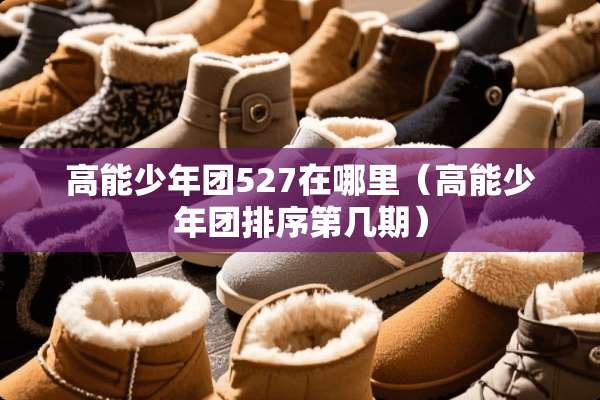 高能少年团527在哪里（高能少年团排序第几期）