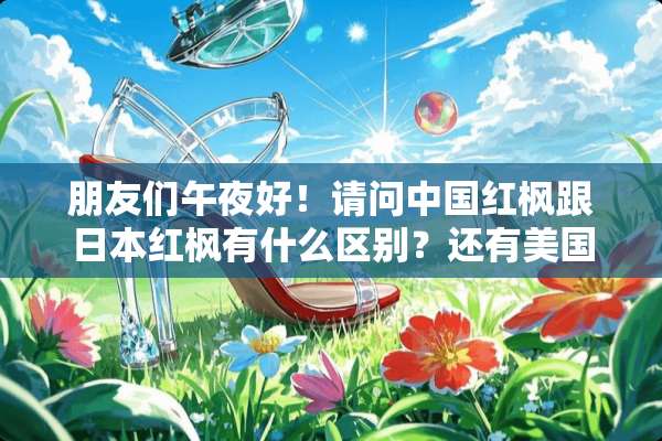 朋友们午夜好！请问中国红枫跟日本红枫有什么区别？还有美国红枫到底有几多种？谢谢！