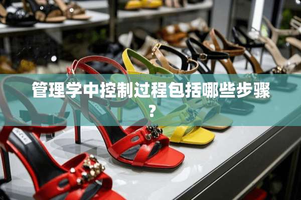 管理学中控制过程包括哪些步骤？