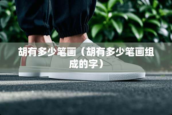 胡有多少笔画（胡有多少笔画组成的字）