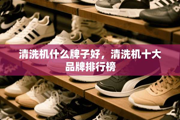 清洗机什么牌子好，清洗机十大品牌排行榜