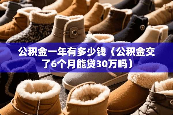 公积金一年有多少钱（公积金交了6个月能贷30万吗）