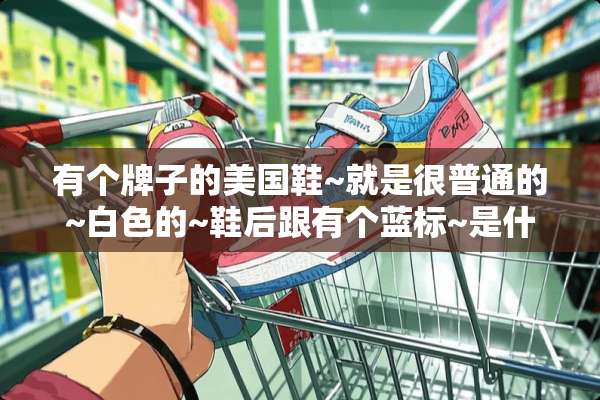 有个牌子的美国鞋~就是很普通的~白色的~鞋后跟有个蓝标~是什么牌子？咩啊？