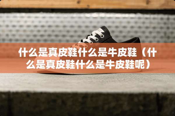 什么是真皮鞋什么是牛皮鞋（什么是真皮鞋什么是牛皮鞋呢）