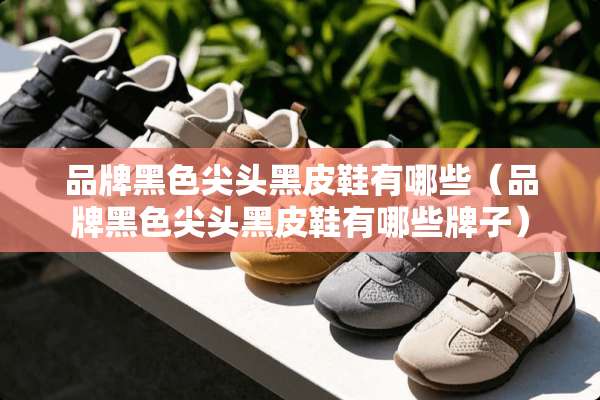 品牌黑色尖头黑皮鞋有哪些（品牌黑色尖头黑皮鞋有哪些牌子）