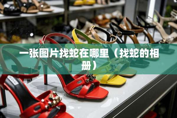 一张图片找蛇在哪里（找蛇的相册）