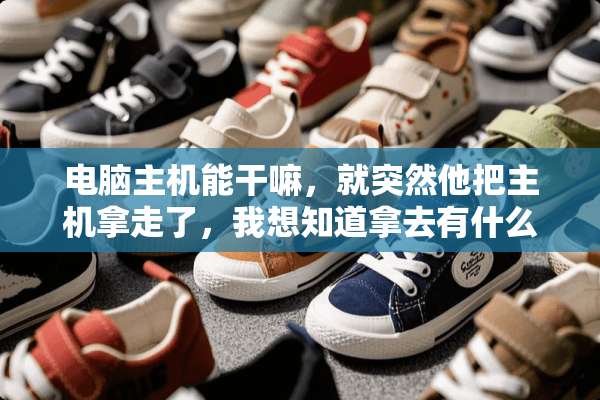 电脑主机能干嘛，就突然他把主机拿走了，我想知道拿去有什么用，可以