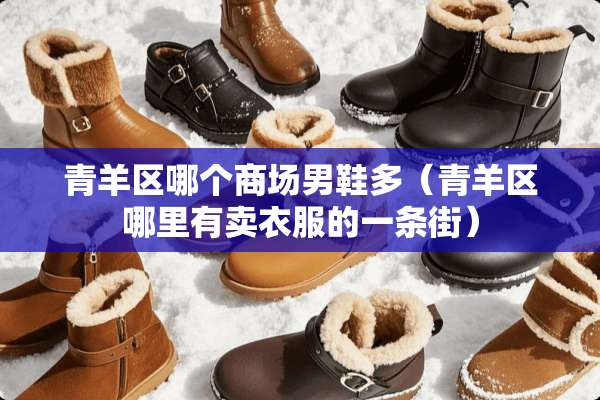 青羊区哪个商场男鞋多（青羊区哪里有卖衣服的一条街）