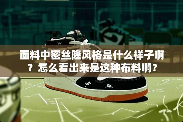 面料中密丝隆风格是什么样子啊？怎么看出来是这种布料啊？