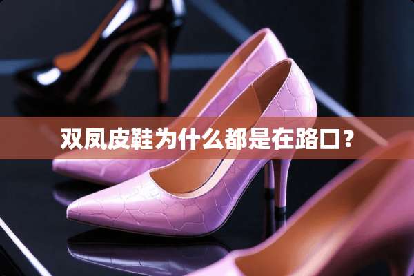 双凤皮鞋为什么都是在路口？