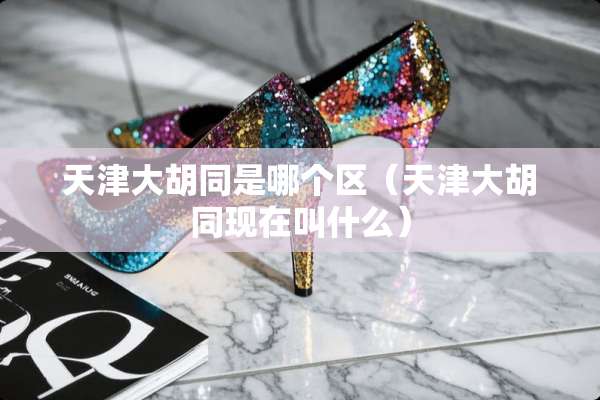 天津大胡同是哪个区（天津大胡同现在叫什么）