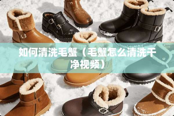如何清洗毛蟹（毛蟹怎么清洗干净视频）