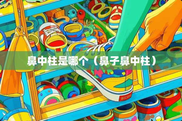 鼻中柱是哪个（鼻子鼻中柱）