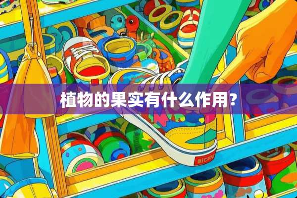 植物的果实有什么作用？