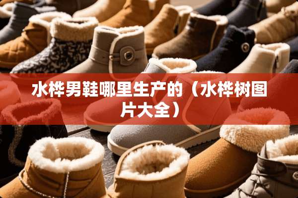 水桦男鞋哪里生产的（水桦树图片大全）