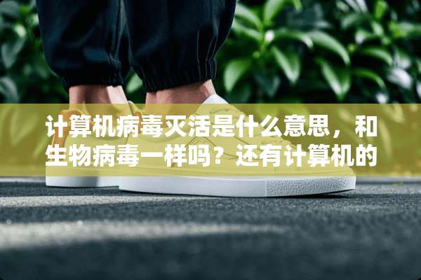 计算机**灭活是什么意思，和生物**一样吗？还有计算机的灭活的说法。》