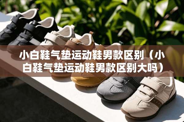 小白鞋气垫运动鞋男款区别（小白鞋气垫运动鞋男款区别大吗）