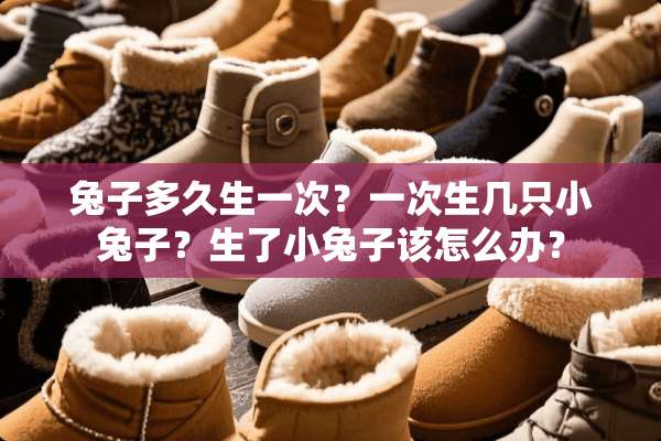兔子多久生一次？一次生几只小兔子？生了小兔子该怎么办？