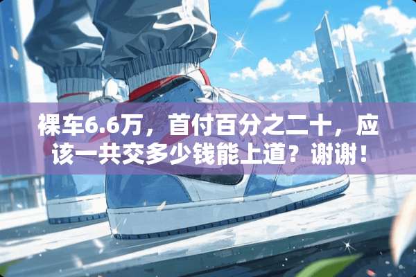 *车6.6万，首付百分之二十，应该一共交多少钱能上道？谢谢！