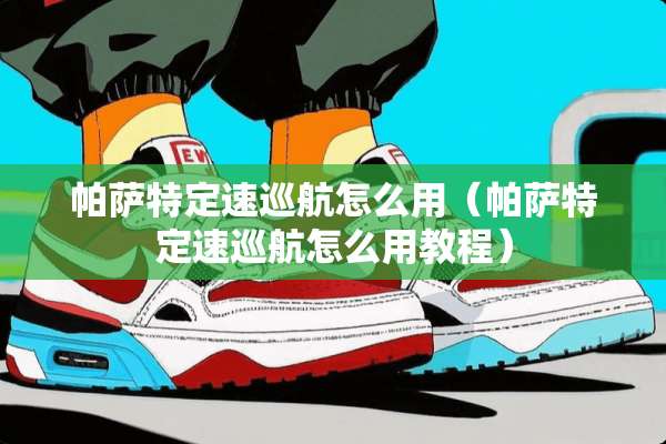 ***定速巡航怎么用（***定速巡航怎么用教程）