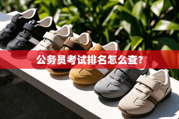 公务员考试排名怎么查？