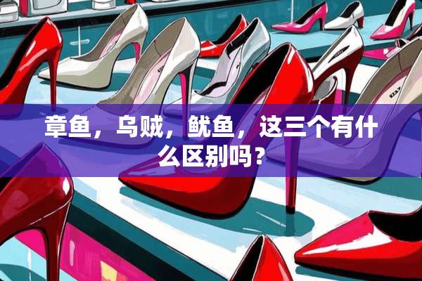 章鱼，乌贼，鱿鱼，这三个有什么区别吗？