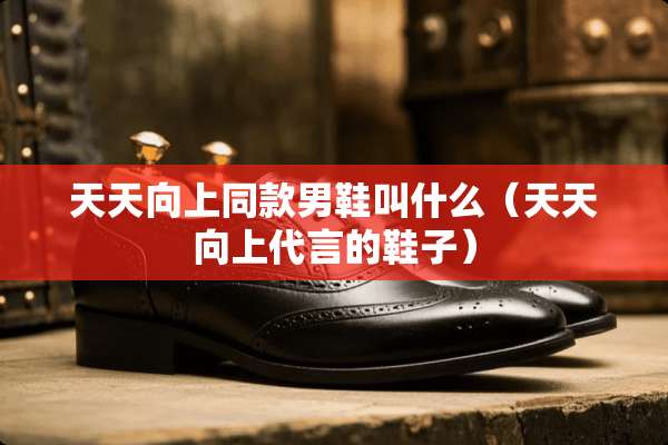 天天向上同款男鞋叫什么（天天向上代言的鞋子）