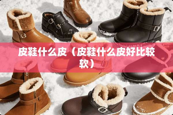 皮鞋什么皮（皮鞋什么皮好比较软）