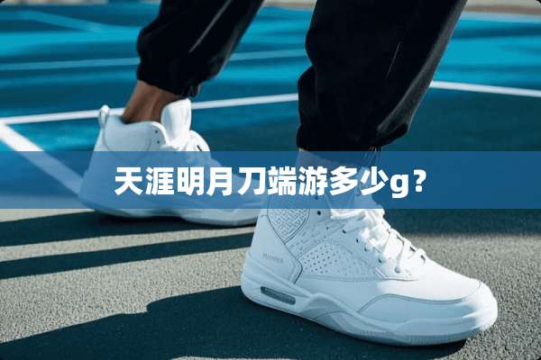 天涯明月刀端游多少g？