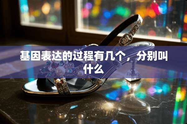 基因表达的过程有几个，分别叫什么