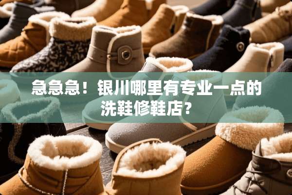 急急急！银川哪里有专业一点的洗鞋修鞋店？