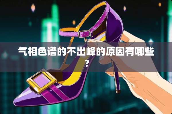 气相色谱的不出峰的原因有哪些？