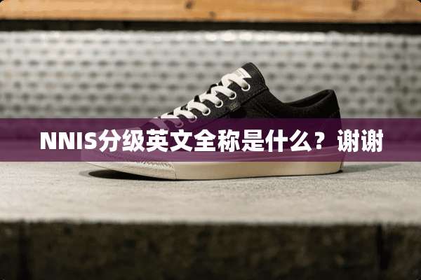 NNIS分级英文全称是什么？谢谢