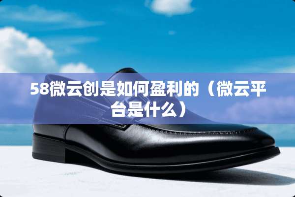 58微云创是如何盈利的（微云平台是什么）