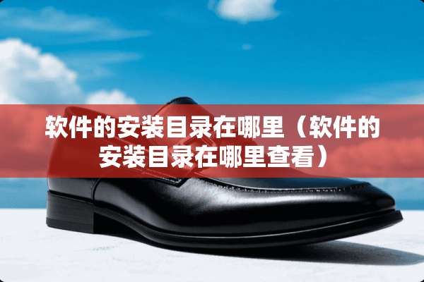 软件的安装目录在哪里（软件的安装目录在哪里查看）