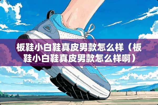 板鞋小白鞋真皮男款怎么样（板鞋小白鞋真皮男款怎么样啊）