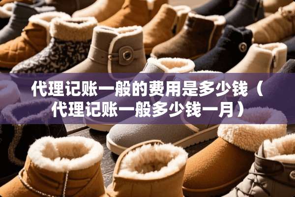 代理记账一般的费用是多少钱（代理记账一般多少钱一月）