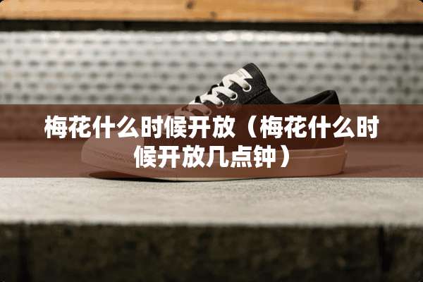 梅花什么时候开放（梅花什么时候开放几点钟）