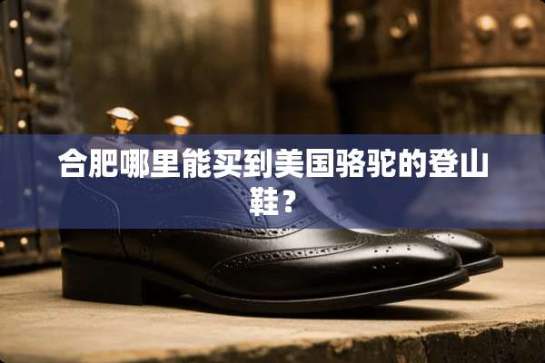 合肥哪里能买到美国骆驼的登山鞋？