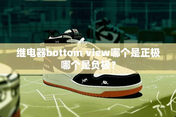 继电器bottom view哪个是正极哪个是负极？