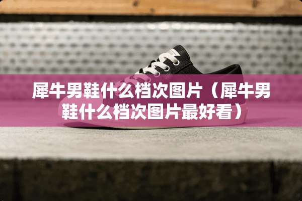犀牛男鞋什么档次图片（犀牛男鞋什么档次图片最好看）