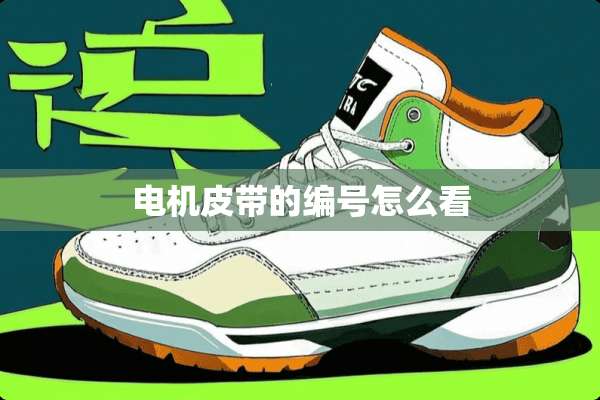 电机皮带的编号怎么看